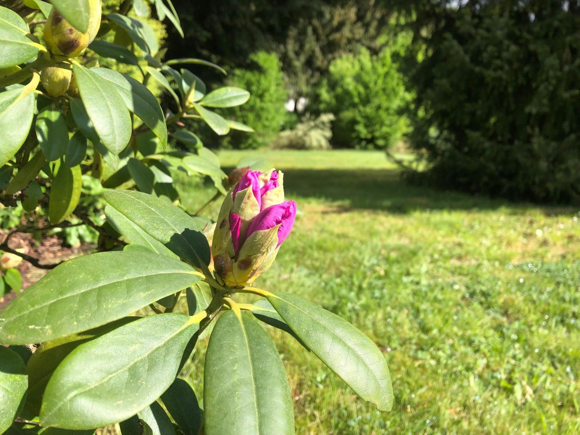 Idas Garten Bad Lauterberg Zewnętrze zdjęcie