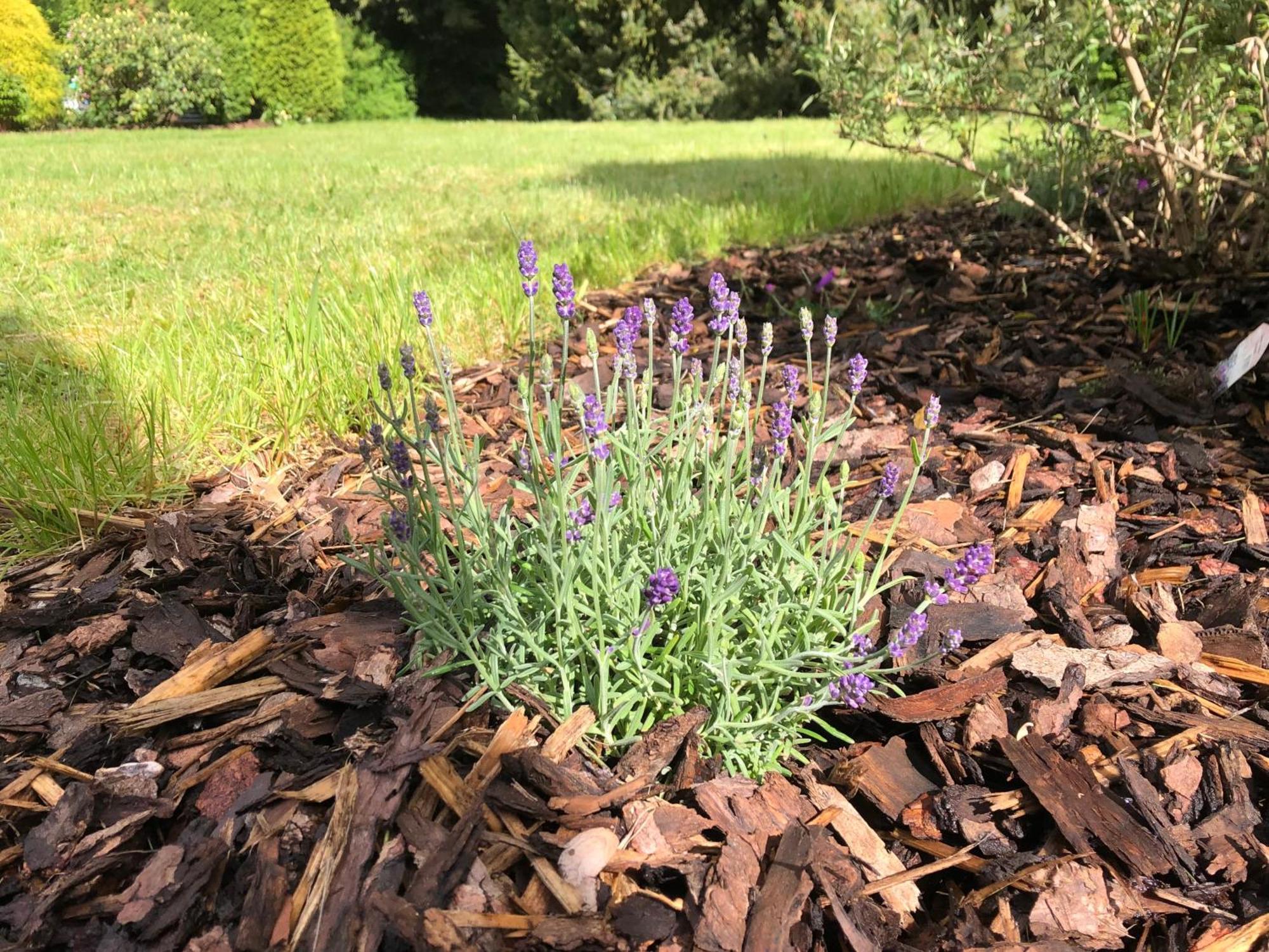 Idas Garten Bad Lauterberg Zewnętrze zdjęcie