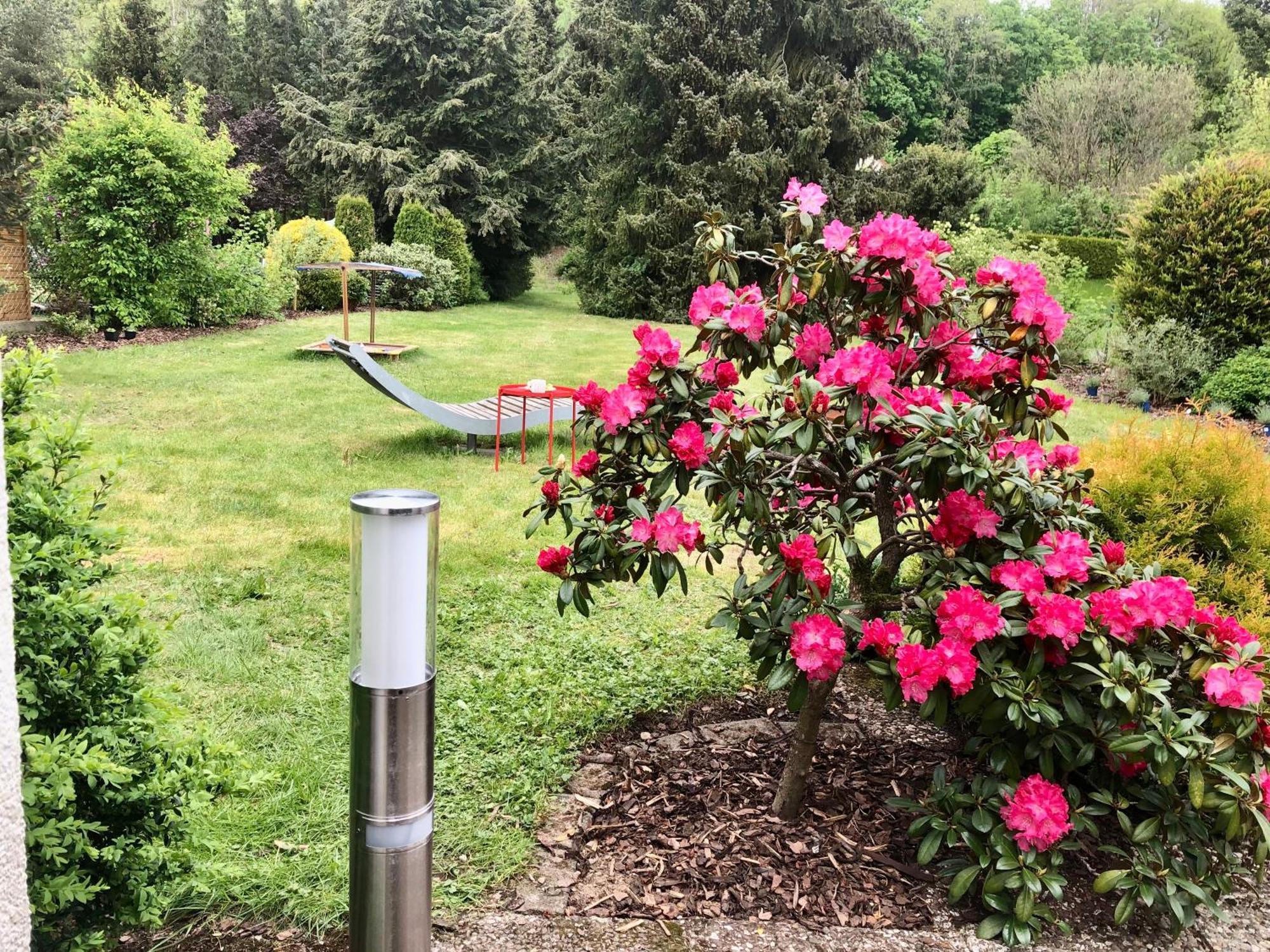 Idas Garten Bad Lauterberg Zewnętrze zdjęcie